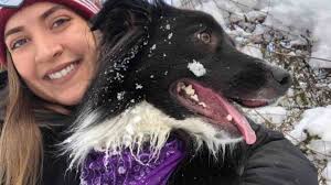 Fundraiser by Steffanie Rinehart : Bowie's Surgery