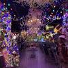 Experience all the friendly comforts camp bar has become a southeastern wisconsin staple. 1