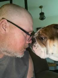 What's some good eye drops for red eyes for my Bulldog?