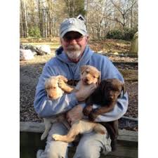 Hours may change under current circumstances Labrador Retrievers Of Marvin Labrador Retriever Breeder In Waxhaw North Carolina