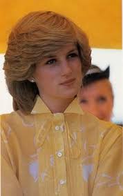 900+ Regal Diana Spencer ideas in 2024