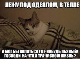 Мемы - лежу под одеялом, в тепле | Facebook