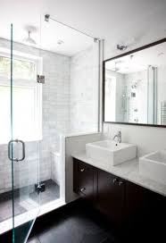 Classic Contemporary Washroom Bathroom Remodel Master Small Master Bathroom Trendy Bathroom