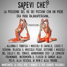 Posizione Del Re Dei Piccioni Con Un Piede Eka Pada Rajakapotasana Esercizi Di Stretching Anatomia Yoga Esercizi