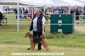 We did not find results for: Crillee Airedale Terriers Home Facebook