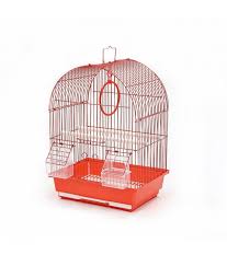 A large, wrought iron, powder coated parrot cage, free of rust and chips, is the best home for a pet cockatoo. Dayang Bird Cage A100 30 X 23 X 41 5cm Only Sold By Box Of 10 Pcs Dimension 30 X 23 X 41 5cm