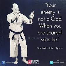 Pin By Neurodrive01 On Martial Philosophy Martial Arts Quotes Martial Arts Karate Quotes