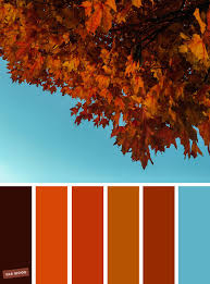 Find a great color palette from color hunt's curated collections. 59 Pretty Autumn Color Schemes Bold Autumn Colour And Blue Sky