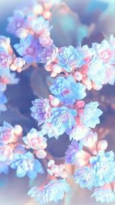 See more ideas about flower wallpaper, flower aesthetic, flowers photography. 14 Flower Aesthetic Ideen Schone Blumen Blumen Hintergrund Blumen Hintergrund Iphone