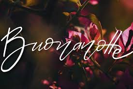 Altre bellissime foto di fiori 2, foto grandi e gratis da usare come sfondi desktop, foto background, wallpapers, salvaschermo, sfondo smartphone. Immagini Buonanotte Scaricare Gratis Condividi Immagini Buonanotte Da Scaricare Gratis Per Whatsapp Y Letters Com