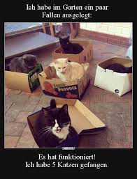 Ich Habe Im Garten Ein Paar Fallen Ausgelegt Es Hat Lustige Bilder Spruch Ausgelegt Bilder Ein Fallen Gart In 2020 Funny Animals Funny Pictures Funny Cats