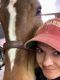 Certified Animal Chiropractor of Atlanta