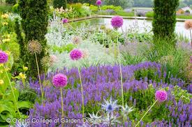 Pin By Learning With Experts On Planting Design Mygardenschool Tutor Hilary Thomas Plant Design Plant Combinations Plants