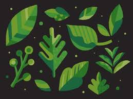 Color Leaves Plant Illustration Geometric Art Digital Art Illustration