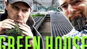Aquarium Plant Farm Tour with Chris Lukaup and Cory McElroy