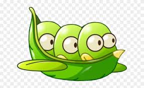 Pod & capsule coffee machines. Horsebean Broad Bean Free Transparent Png Clipart Images Download