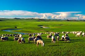 內蒙古最美季節– 9月奔進呼倫貝爾大草原