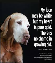 Kimberly Napper (kimberlynapprr)