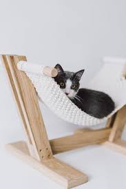 Cats Panosundaki Pin