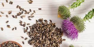 Mutherwort 2 tsp nettles 1/2 tsp thyme 1 tsp orange peel vaginal dryness: Ultimate Guide To Using Herbs For Vaginal Steaming