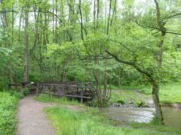 Mariä empfängnis velbert, franziskaner kloster, nevigeser wallfahrtsdom. Tour 522 Velbert Langenberg Mit Dem A1 Um Die Sender Ins Felderbachtal Wanderwegewelt