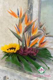 Bird Of Paradise Bouquet Care Buckhead Collection Large Flower Arrangements Flower Arrangements Simple Fresh Flowers Arrangements