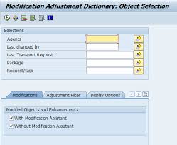 Technical Upgrade Spdd Spau Phase Sap Blogs