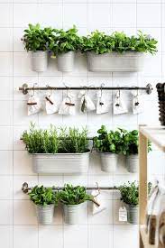 Maybe you would like to learn more about one of these? Products Herb Garden In Kitchen Diy Herb Garden Indoor Herb Garden