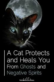 How Cats Protect You And Your House From Negative Spirits Cat Spirit Animal Cat Spirit Crazy Cats