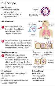 Grippeimpfung Diese Spritze Lasst Herzen Hoher Schlagen