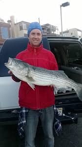 Check spelling or type a new query. Redondo Beach Summer Fishing By Boat Land And Sea Easy Reader News