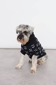 Peggy gaffney, author of the crafty dogs knit series published by kanine knits. Lazy Oaf Have Dropped Happy Sad Knits For Dogs And Humans