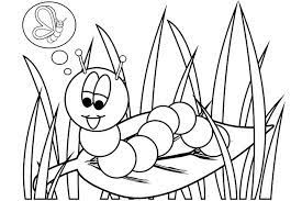 Caterpillars are typically voracious feeders and many of them are among the most serious of agricultural pests. Pin On Bugs Rodent Embroidery Patterns