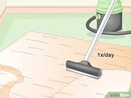 Maybe you would like to learn more about one of these? How To Scotchgard Carpet 10 Steps With Pictures Wikihow