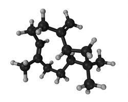 Image result for Achyrospermum micranthum