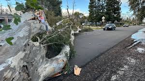 Wind, storm cause SMUD, PG&E customers in CA to lose power