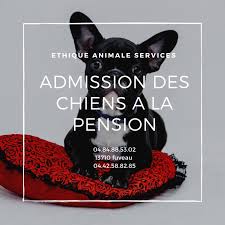 > se garder de faire > to be careful not to do, to refrain from or beware of doing. Les Conditions D Admission Pour Faire Garder Son Chien En Pension Chenil Sur Fuveau Pension Pour Animaux De Compagnie A Fuveau Ethique Animale Services