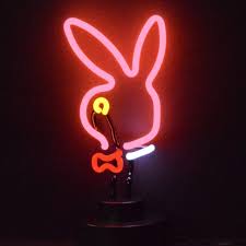 Neon Tube Light Wayfair