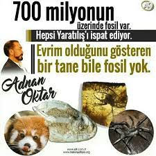 seyhmus tas adli kullanicinin evrim teorisi panosundaki pin fosiller evrim bilgi