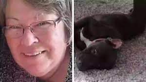 Grandmother killed by pit bull she took into her holiday home as a starving  stray