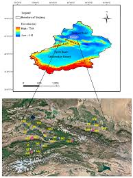 Maybe you would like to learn more about one of these? Forests Free Full Text Tree Ring Width And Carbon Isotope Chronologies Track Temperature Humidity And Baseflow In The Tianshan Mountains Central Asia Html
