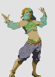 Breath of the wild link gerudo outfit