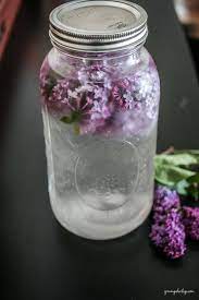 Learn How To Capture The Essence Of Lilac Flowers In A Simple Water Infusion Infused Water Lavender Water Lilac