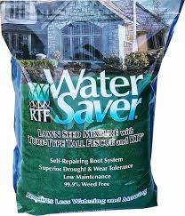 Both experiences were quite satisfactory. Amazon Com Barenbrug 11625 Water Saver Grass Seed 25 Pound Discontinued By Manufacturer Grass Plants Garden Outdoor