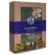 Make it a magical display with lovely fairy house. Fairy Garden Assorted Moss Hobby Lobby 1178730