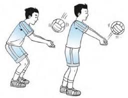 Check spelling or type a new query. Permainan Bola Voli Materi Pelajaran Smp Mts Kelas 7