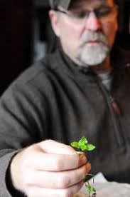 Outdoor survival: Man or mouse?