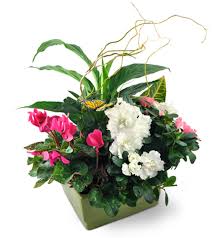 Hours may change under current circumstances Paradise Garden Cleveland Oh Florist