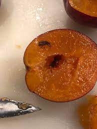 Maybe you would like to learn more about one of these? Any Idea What These Bugs Are Inside My Plums The Plums Look Seemingly Perfect No Recent Bug Holes But When You Open Them Up They Have One Single Bug Deep Inside And