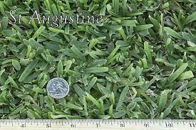 Arizona Sod West Coast Turf St Augustine Sod Grass In Socal